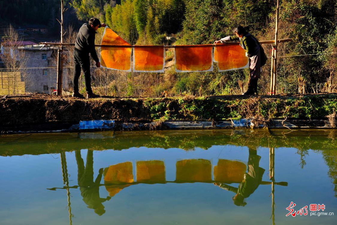 Family workshop of traditional handmade jujube peels in E China's Jiangxi Province