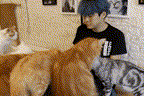dd5 00_00_00-00_00_30.gif