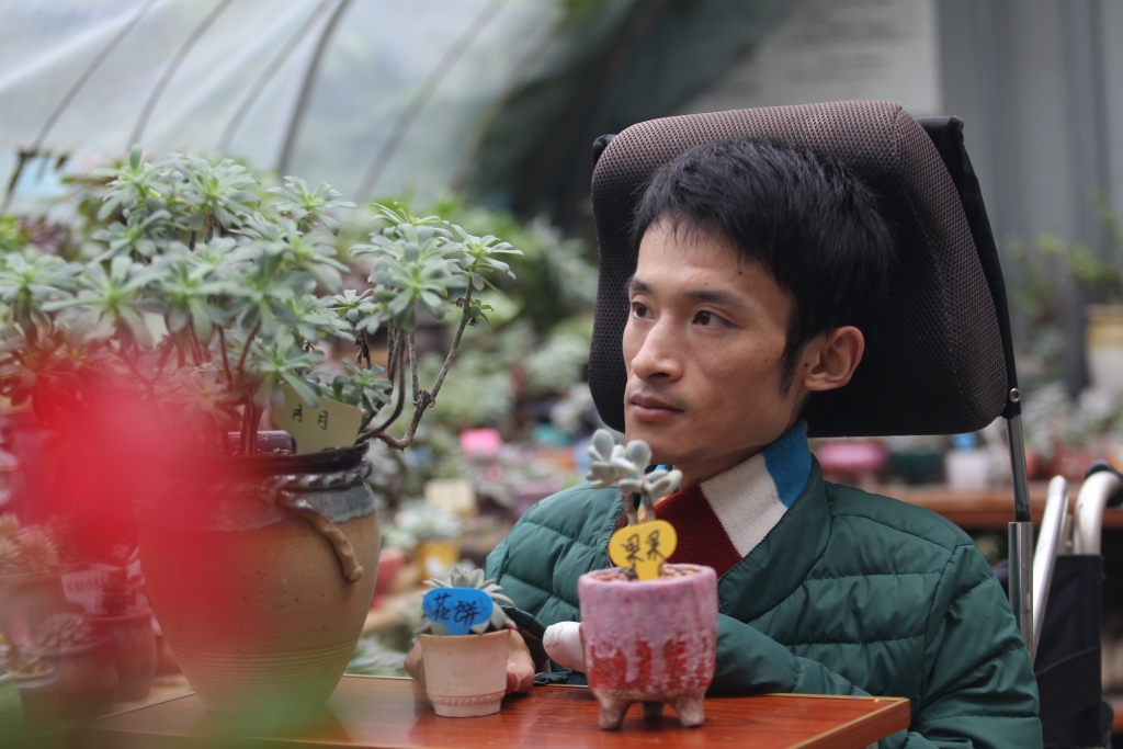 欣哥的美好时光