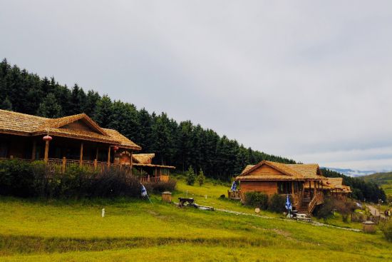 高原上的山沟沟:叫你"沉醉不知归路"