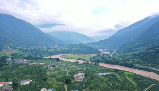 航拍凉山德昌县乐跃镇高丰村枇杷产业园.