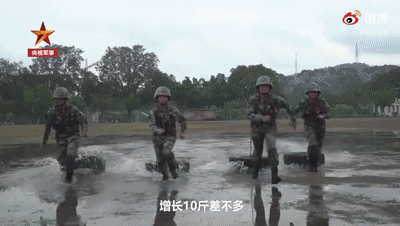 女图8.gif